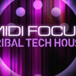 MIDI Focus: Tribal Tech House (Sample Packs)