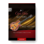 Best Service - Chris Hein Guitars