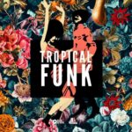 Tropical Funk: Basement Freaks (Sample Packs)