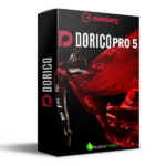 Steinberg Dorico Pro 5 (Windows)