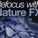 Pro Sound Effects Library - Refocus with Nature FX (Sample Packs)