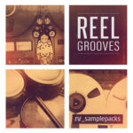 Reel Grooves (Sample Packs)