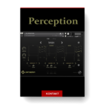 Rigid Audio Perception