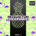 Reggaeton (Sample Packs)