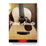 Native Instruments - Session Guitarist - Picked Acoustic