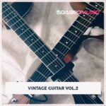 Vintage Guitar Vol 2 (Sample Packs)