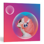 iZotope Neoverb Pro (Windows)