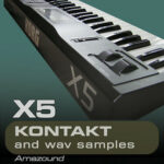 BL Sounds - KORG X5D Kontakt Sample Library (KONTAKT)