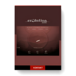 Evolution Series - World Strings Guzheng