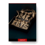 Native Instruments – Play Series 24K Keys