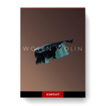 Somerville Sounds - Woven Violin