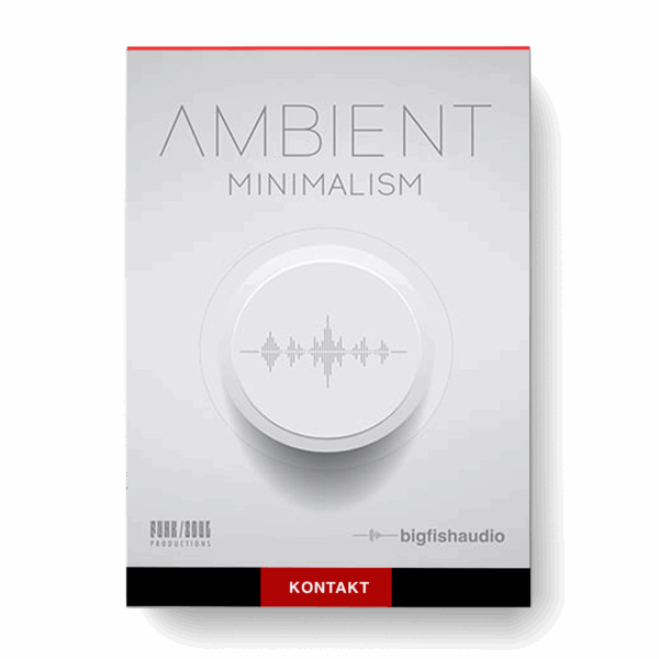 Big Fish Audio - Ambient Minimalism