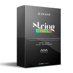 Audio Modeling - Swam String Sections (Windows)