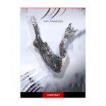 Silence+Other Sounds – Dojo