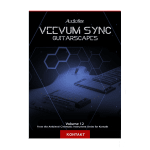 Audiofier - Veevum Sync Guitarscapes